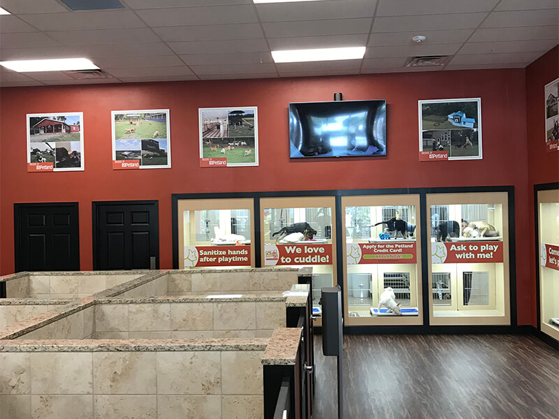 Petland Signs